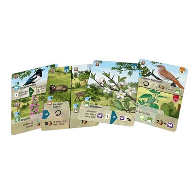 FOREST SHUFFLE: WOODLAND EDGE EXP