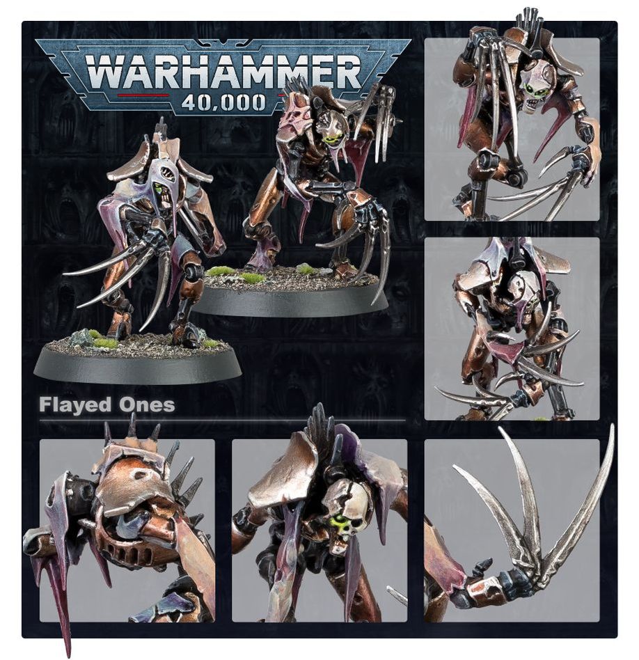 40K NECRONS FLAYED ONES