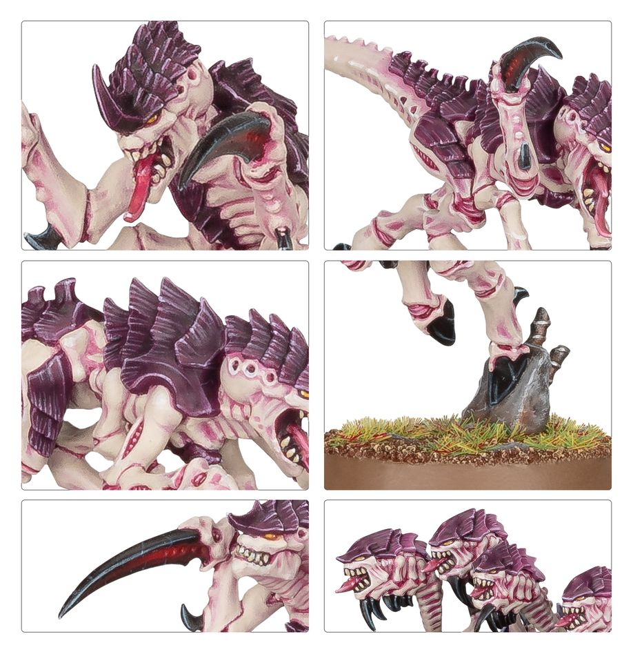40K TYRANIDS HORMAGAUNTS