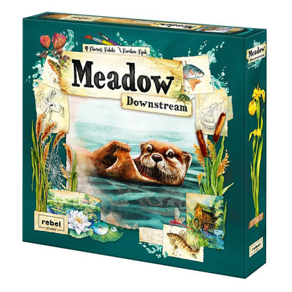 MEADOW: DOWNSTREAM