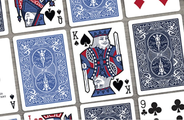 BICYCLE STANDARD PLAYING CARDS - EUCHRE